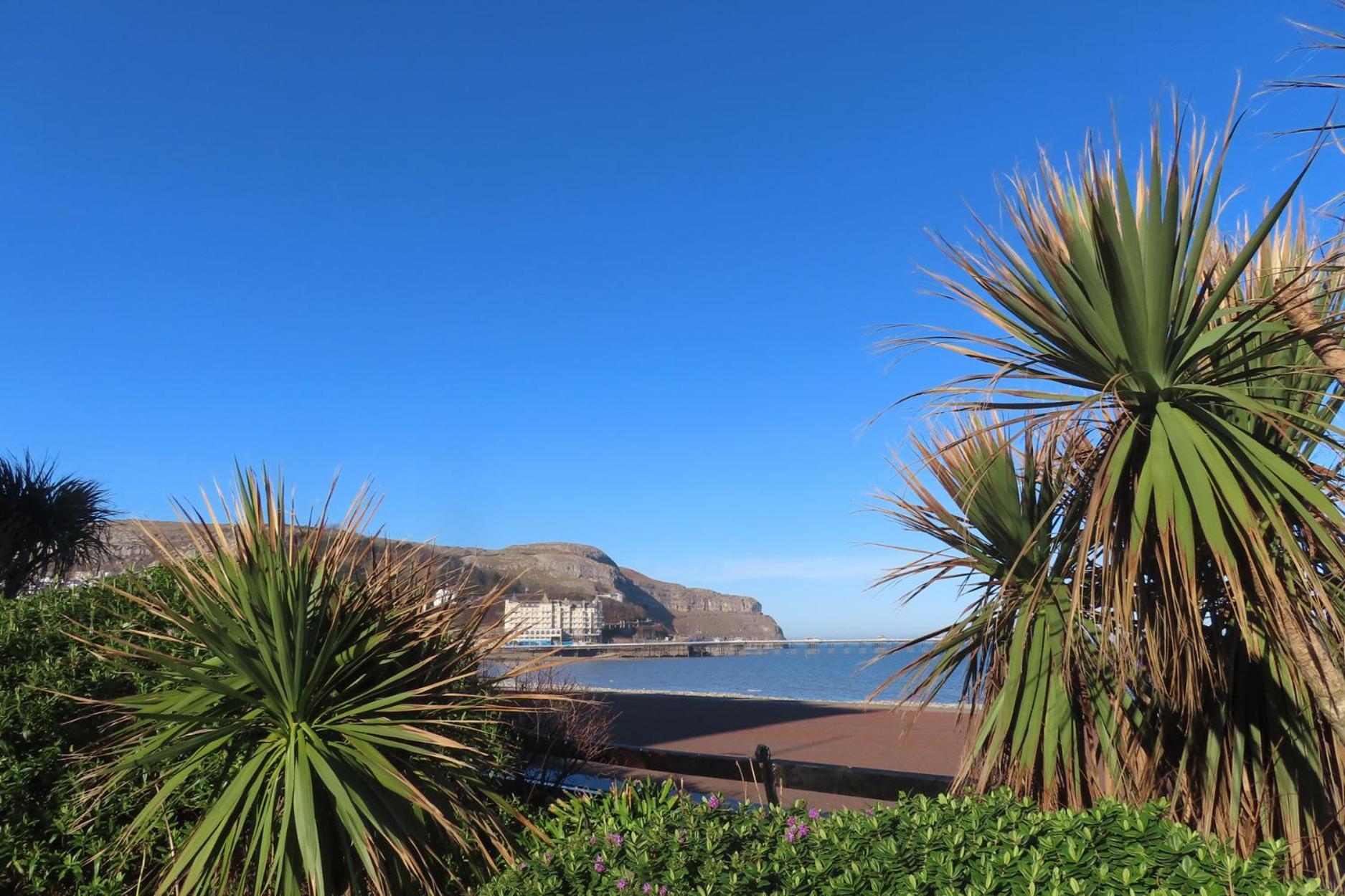 Noah'S Rest Villa Llandudno Exterior photo